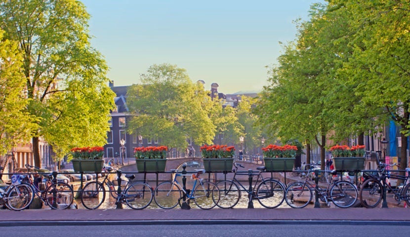 Amsterdam, land of tulip petals and bicycle pedals. Image courtesy of NADEJDA2015 via Getty Images.