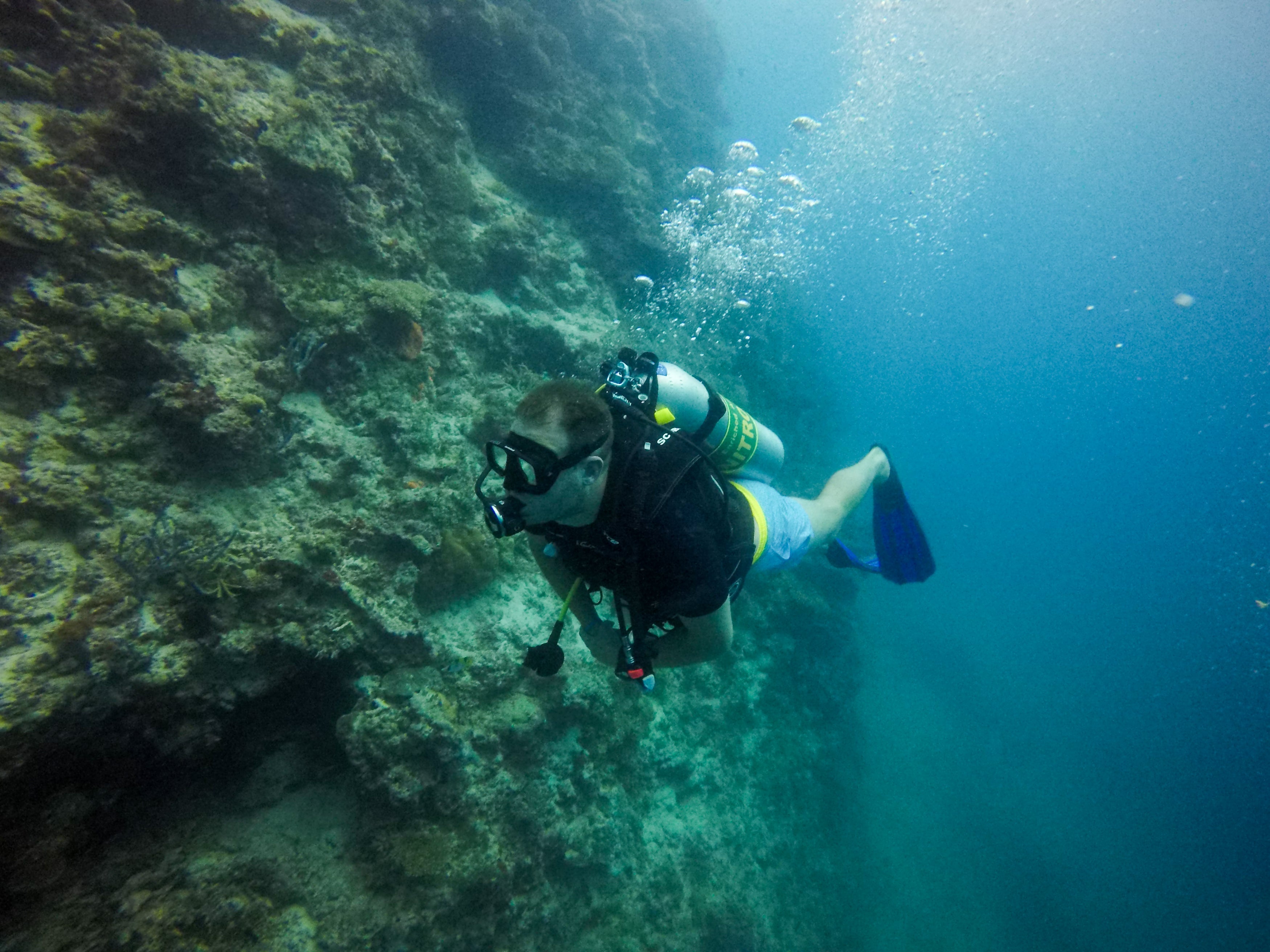 Scuba diving in the Maldives is pretty incredible!