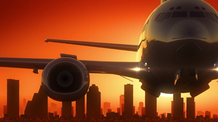 Hobby or Bush? Depends on your travel style. Image courtesy of Ankabala via Getty Images.