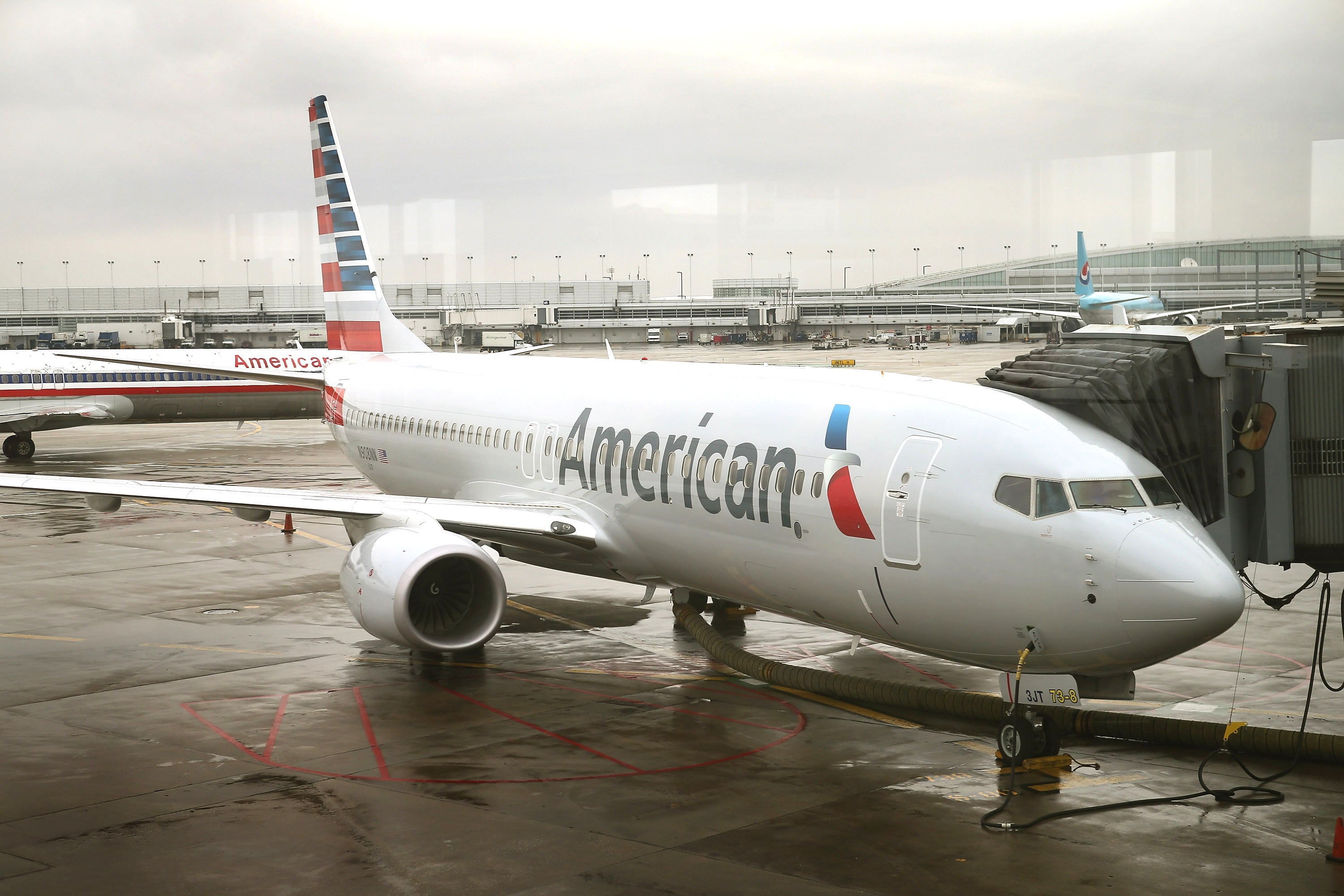 CHICAGO, IL - JANUARY 29: A new American Airlines 737-800 aircraft featuring a new paint job with the company's new logo sits at a gate at O'Hare Airport on January 29, 2013 in Chicago, Illinois. This year, American plans to take delivery of nearly 60 new aircraft featuring the logo and paint. American currently has a fleet of nearly 900 aircraft that fly more than 3,500 daily flights worldwide. (Photo by Scott Olson/Getty Images)