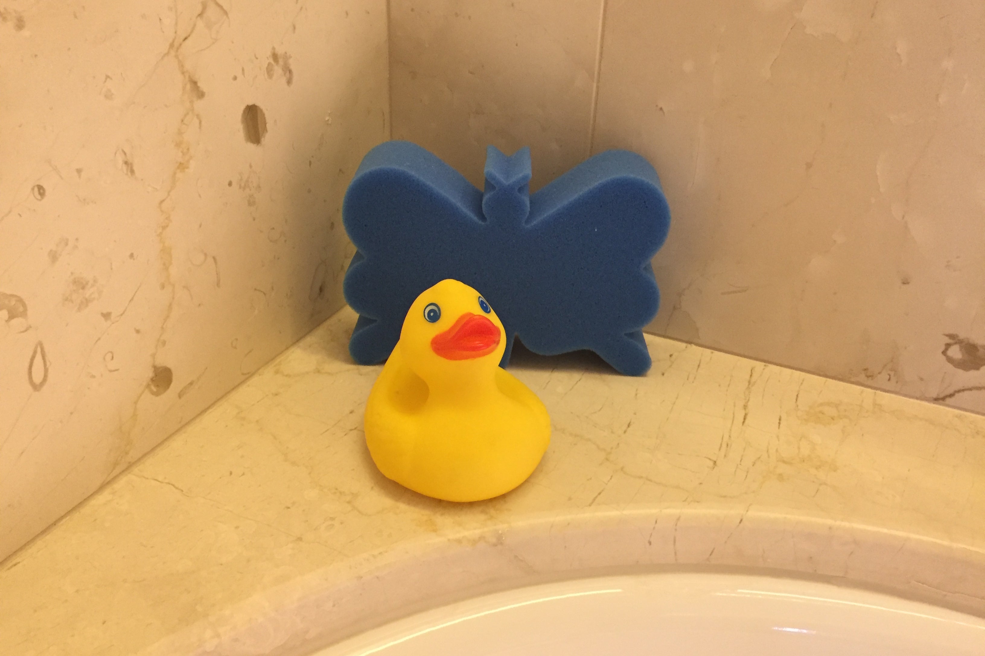 Park Hyatt Mallorca duck