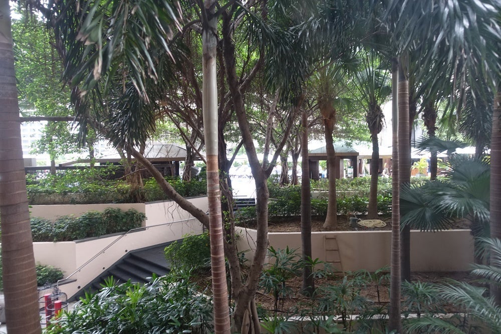 The view from my room.