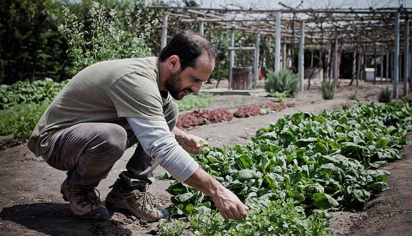 Chef Schiaffino scours the country for the most interesting ingredients. Photo courtesy of Malabar.