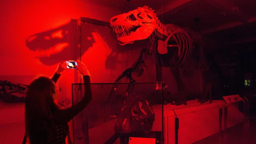 american-museum-of-natural-history-sleepover-featured