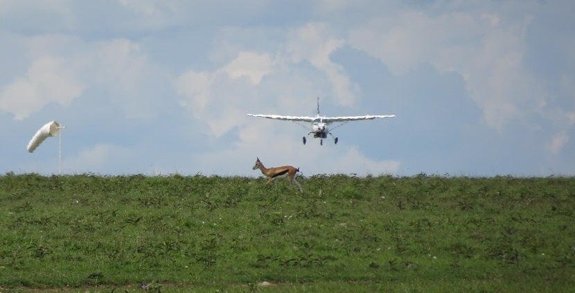 Flying into the bush comes with its own unique hazards.