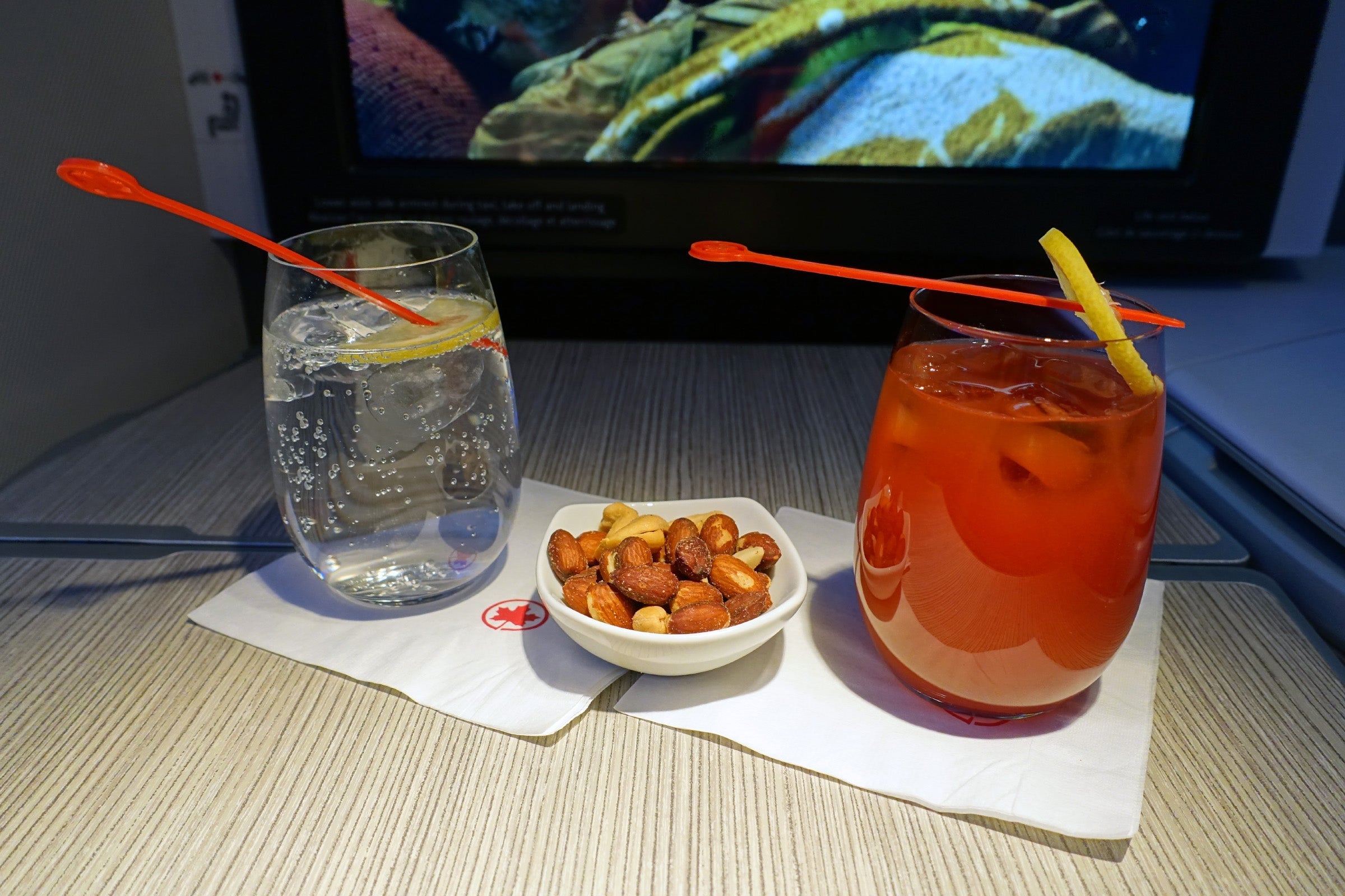 Air Canada 777-300ER Business Class Review