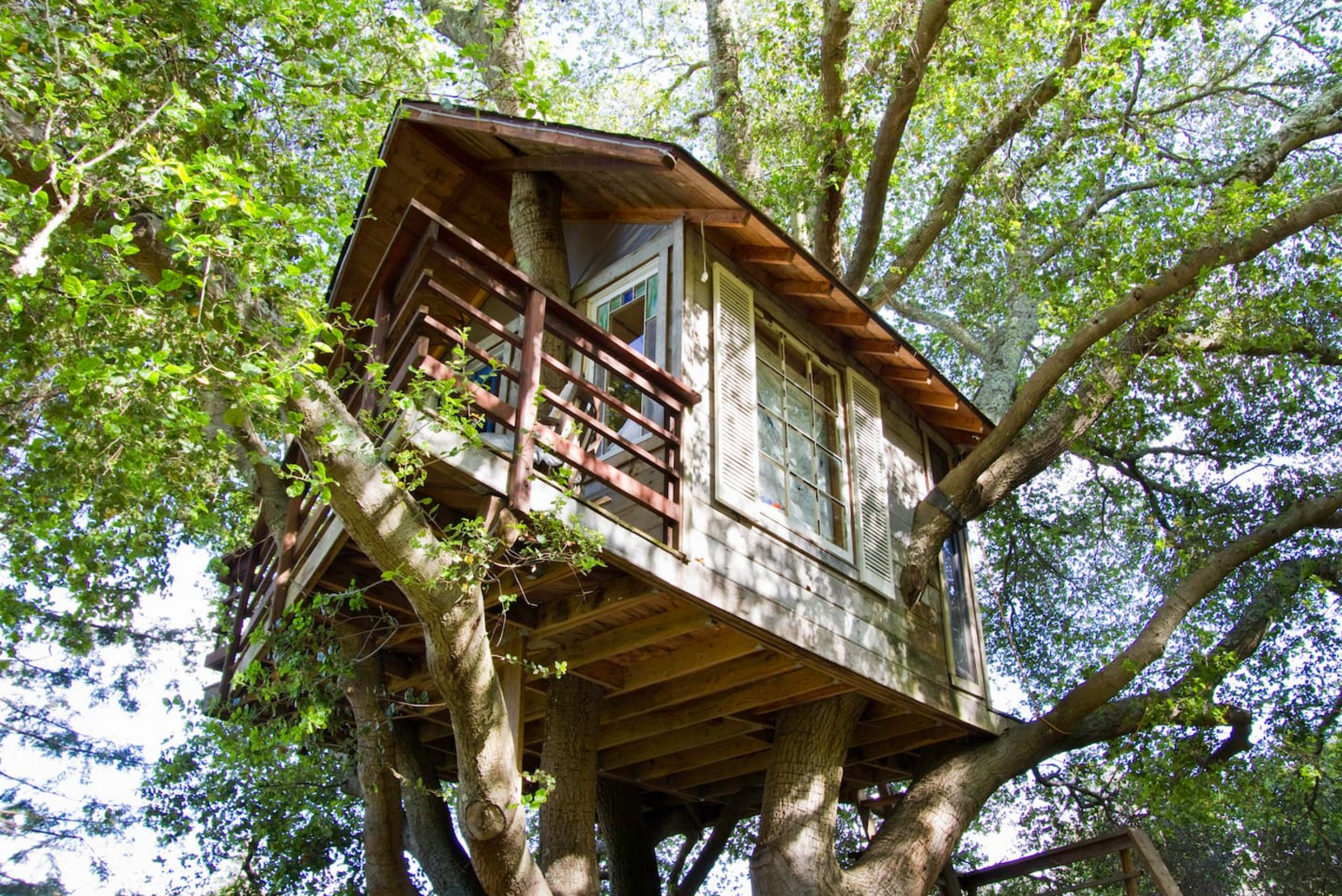This minimalist tree house is located 11 minutes from SFO. Photo courtesy of Airbnb.