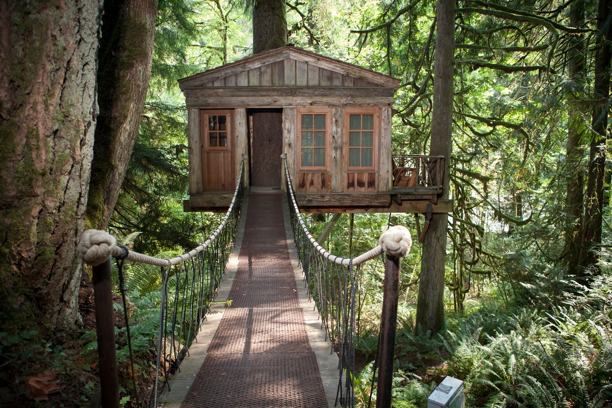 Temple tree house has access via a wooden suspension bridge. Photo by <a href="http://www.adamcrowley.com">Adam Crowley</a>.