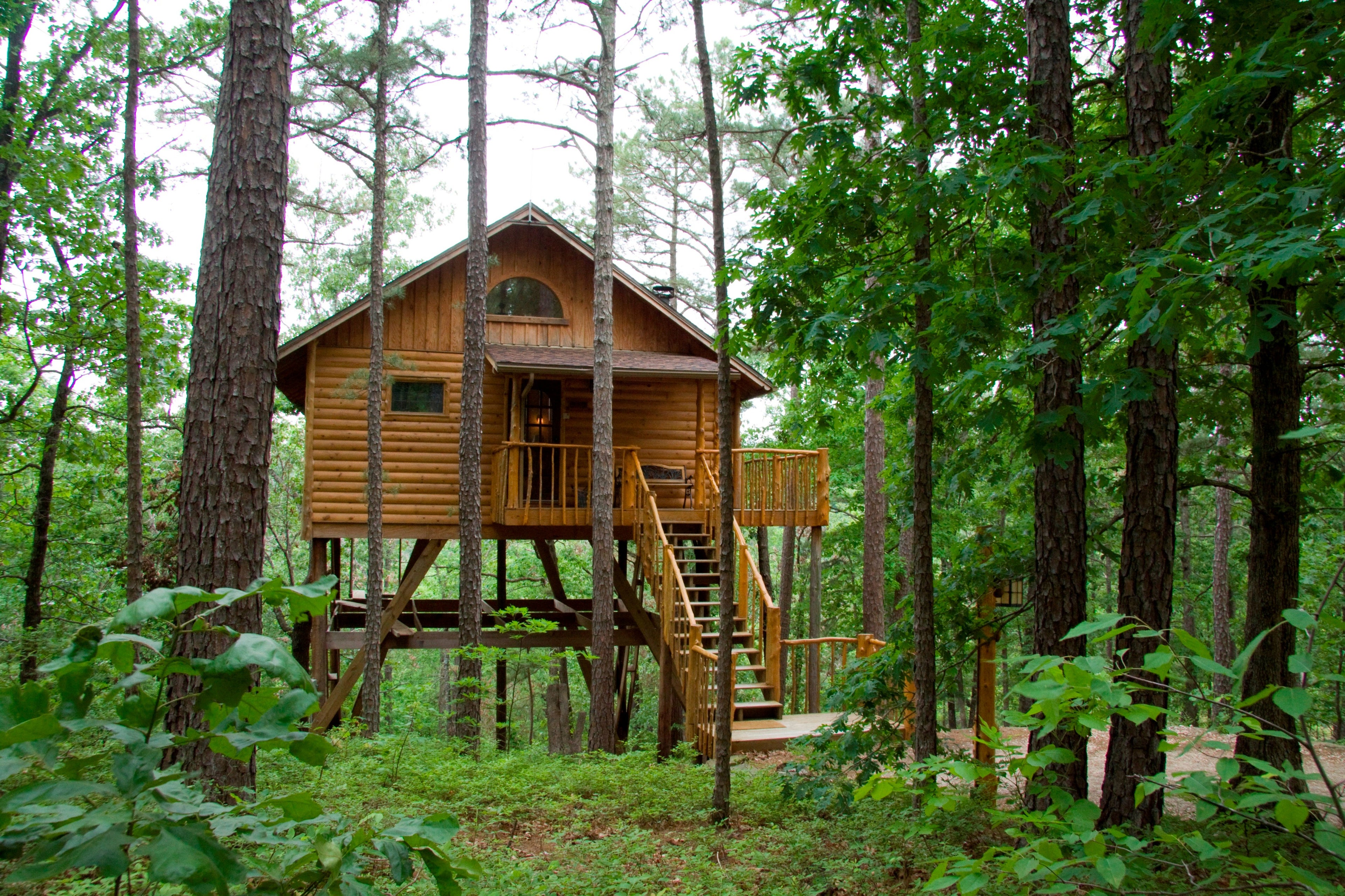 All-pine construction gives the tree house a striking contrast to the forest. Photo courtesy of Tree House Cottages.