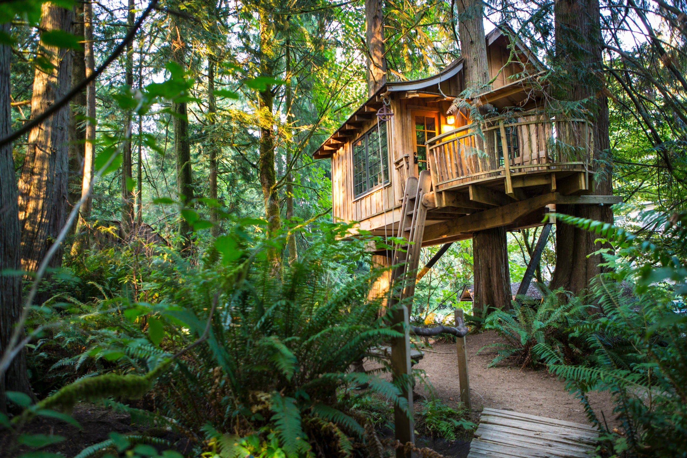The tree house- Upper Pond is beautifully situated among the trees. Photo courtesy of Adam Crowley.