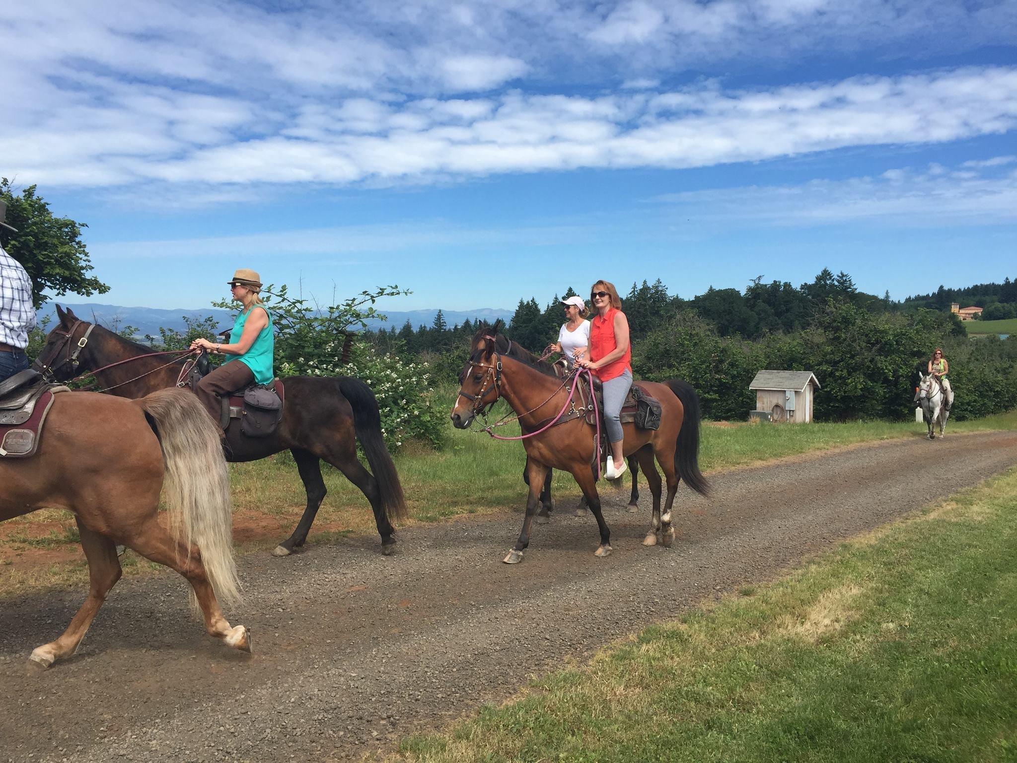 Horseback riding and wine go well together. Image by Equestrian Wine Tours / Facebook.