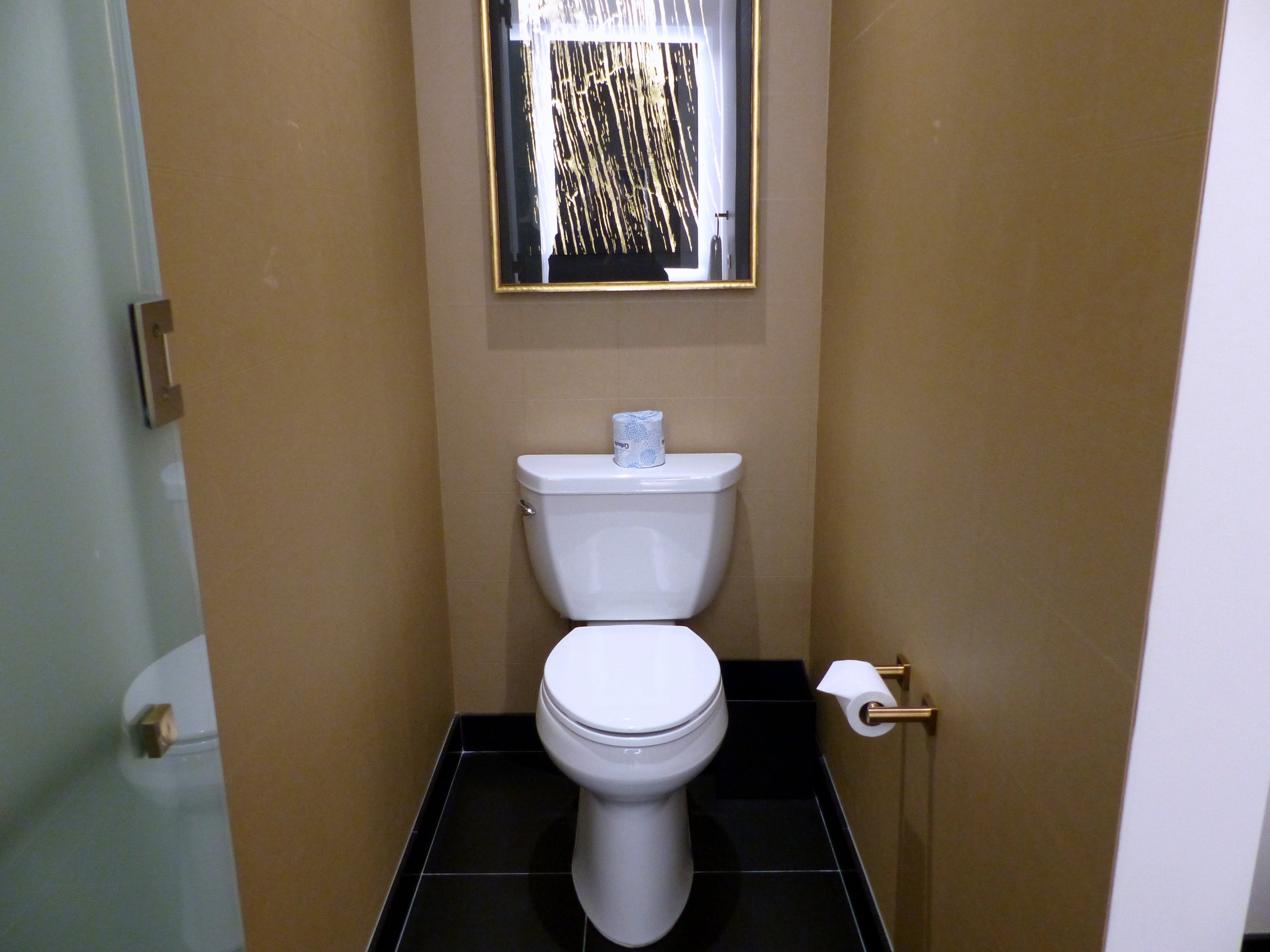 IMG-Conrad-Chicago-toilet