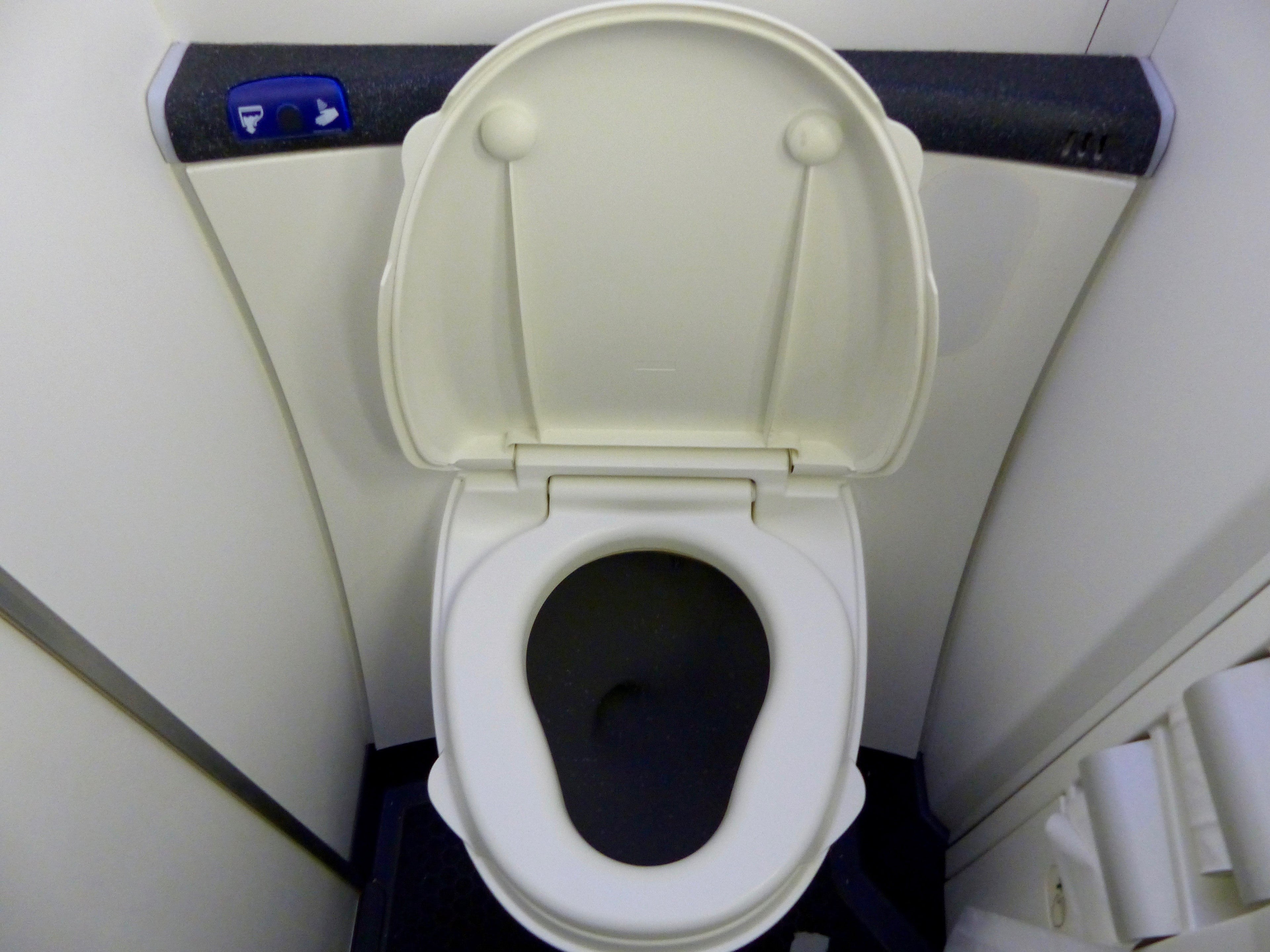 IMG-Virgin-toilet