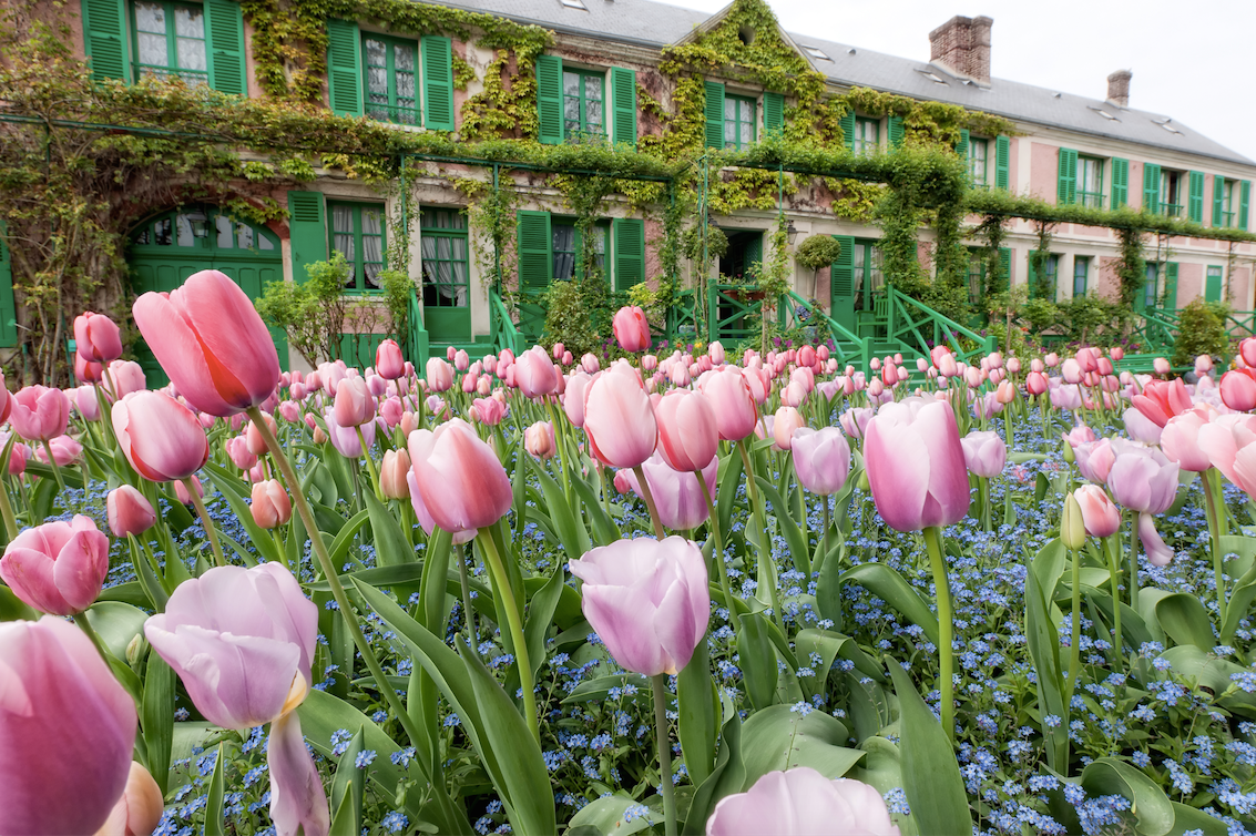 Image courtesy of Fondation Monet.