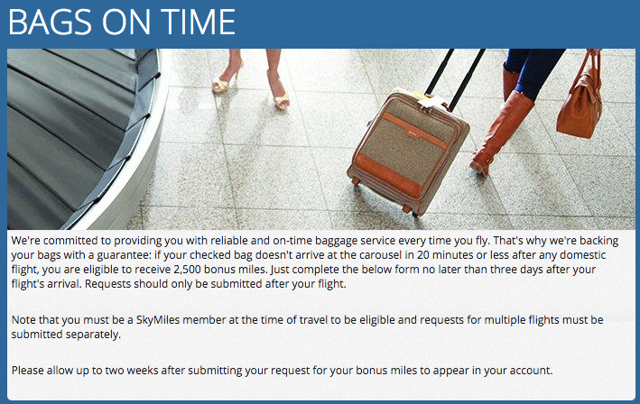 Delta Bag Guarantee landing page