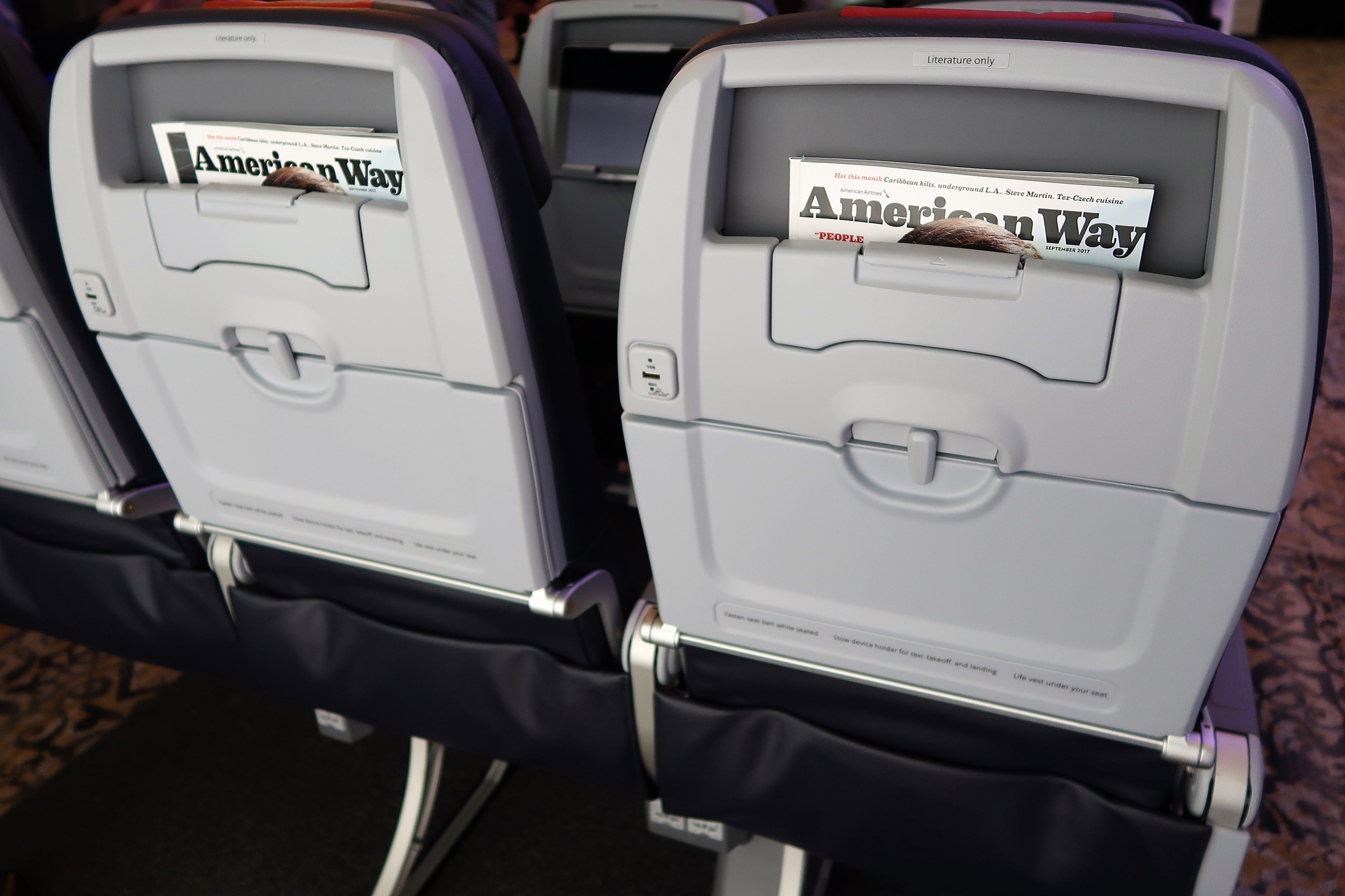 AA 737 MAX seatback