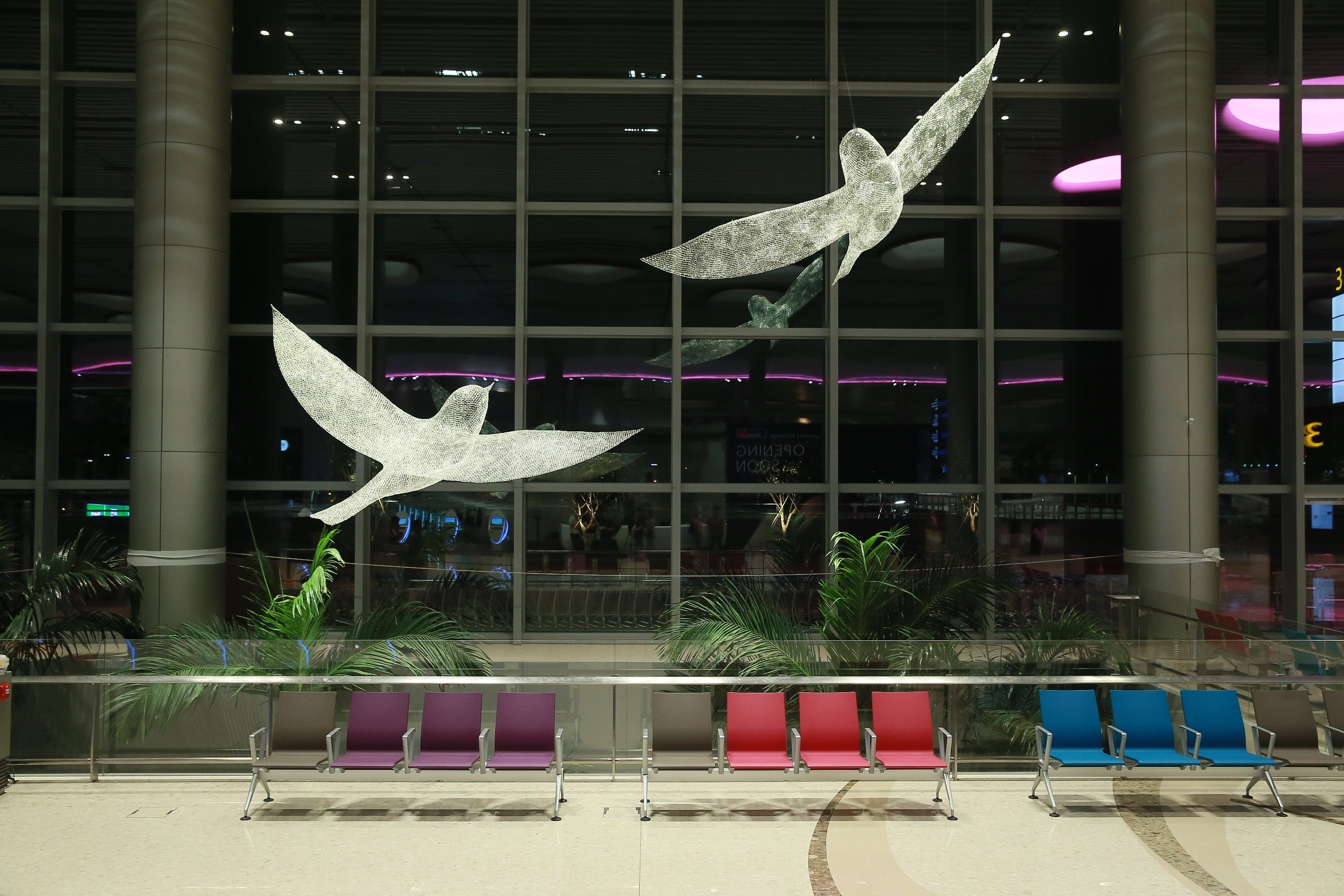 The Birds (3)