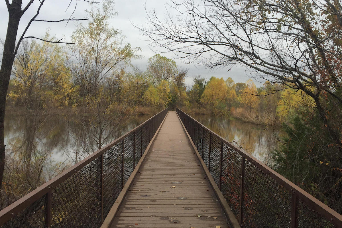 Enjoy a walk amongst the trees. Image courtesy of the <a href="http://trinityriver.audubon.org/" target="_blank" rel="noopener">Trinity River Audubon Center</a>.