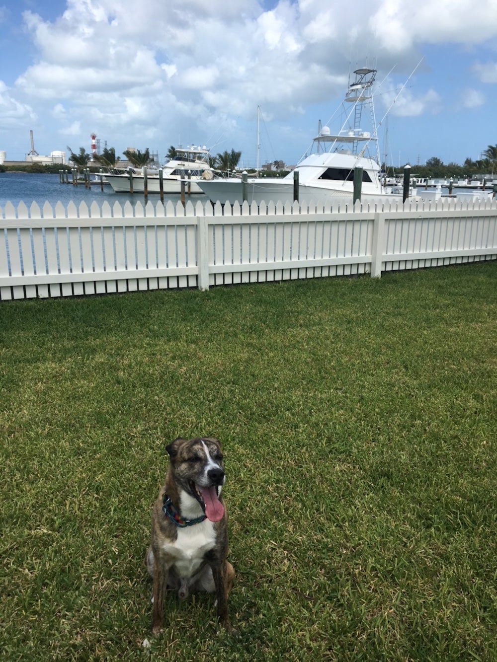Image courtesy of Oceans Edge Key West Hotel & Marina.