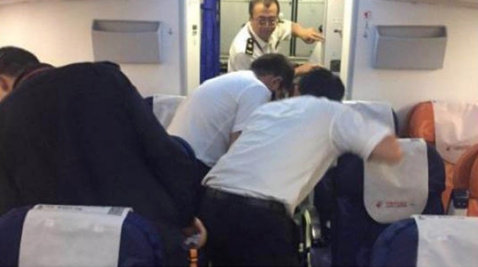 Cockroaches being gathered onboard China Eastern flight