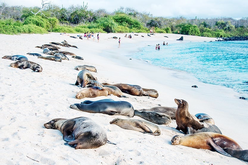 Ecuador's Galápagos Islands have been drawing visitors since Darwin landed there. Image credit: Getty Images.