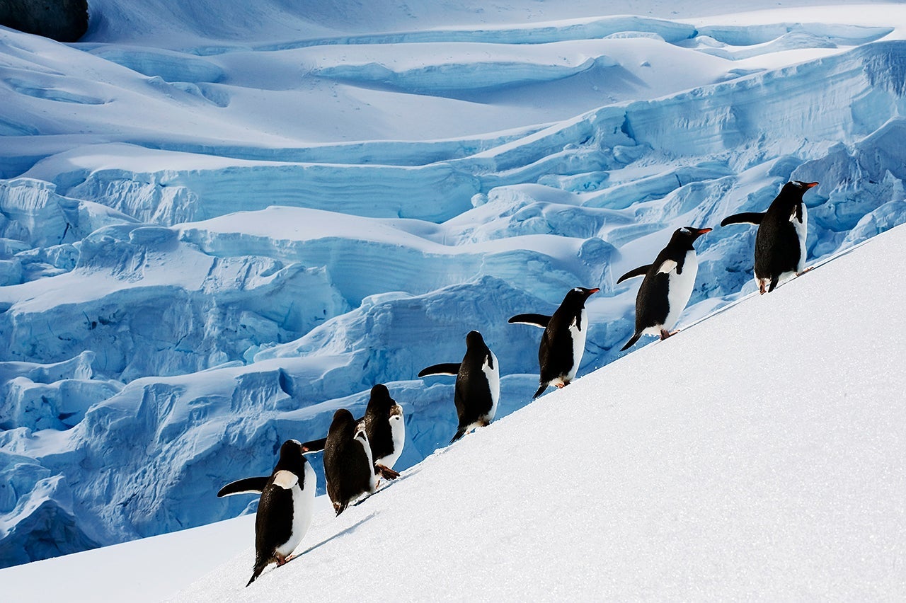 'I Spent Thanksgiving in Antarctica': The Case For Vacation Over Tradition
