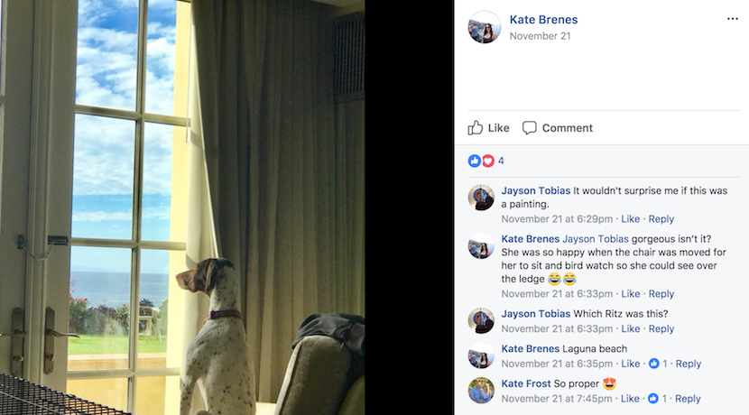 Photo courtesy of Kate Brenes