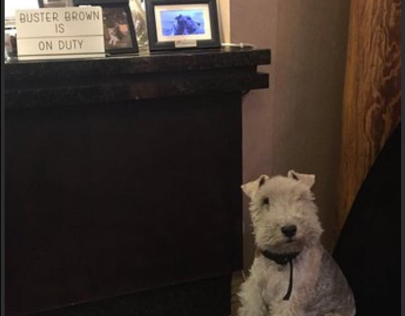 Photo courtesy of Brandon Governor