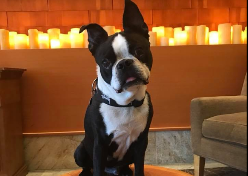 Photo courtesy of Emmy Sinatra Coats