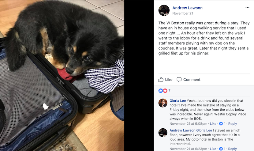 Photo courtesy of Andrew Lawson