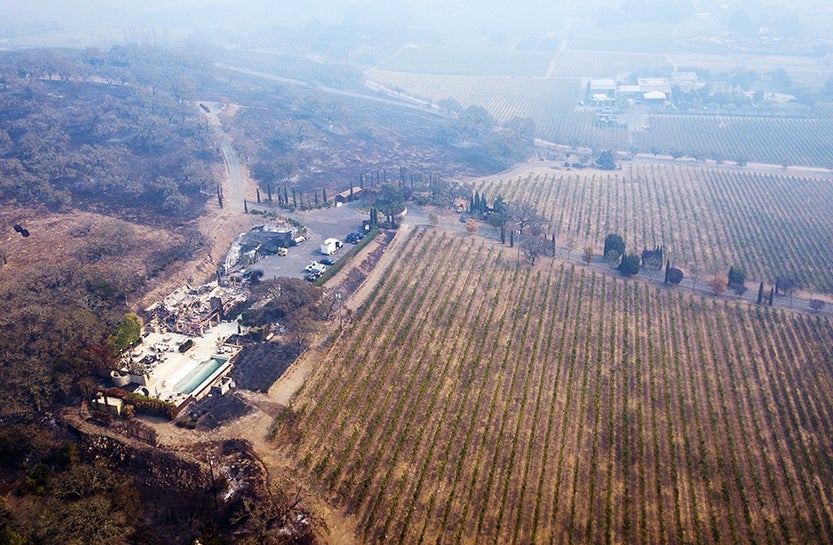 signorella, winery, sonoma, fire, wildfire, california