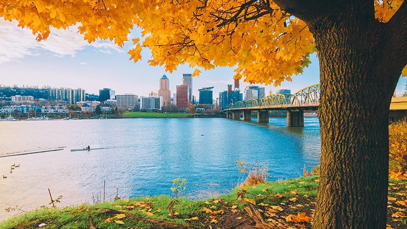 portland-oregon-best-dog-friendly-cities