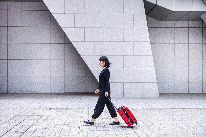 suitcase, luggage