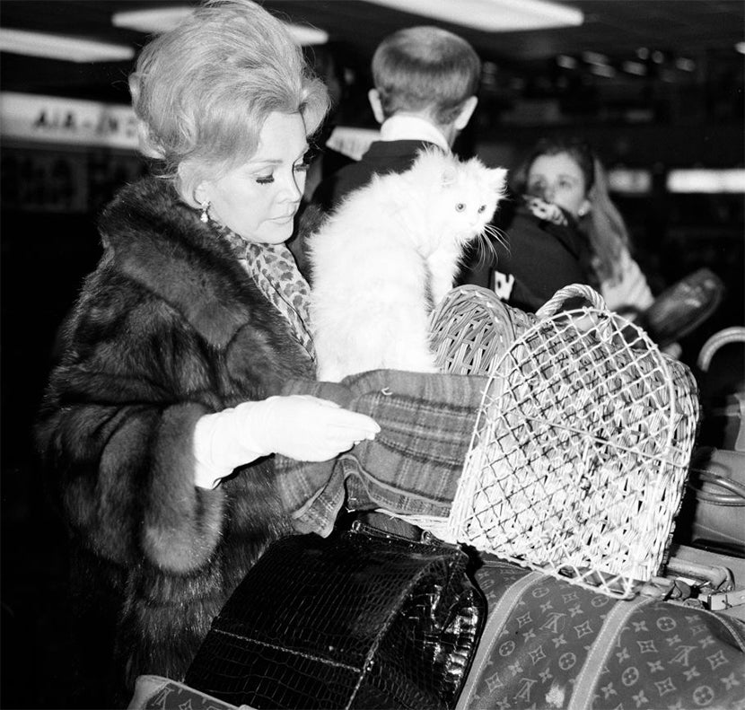 zsa zsa, zsa zsa gabor