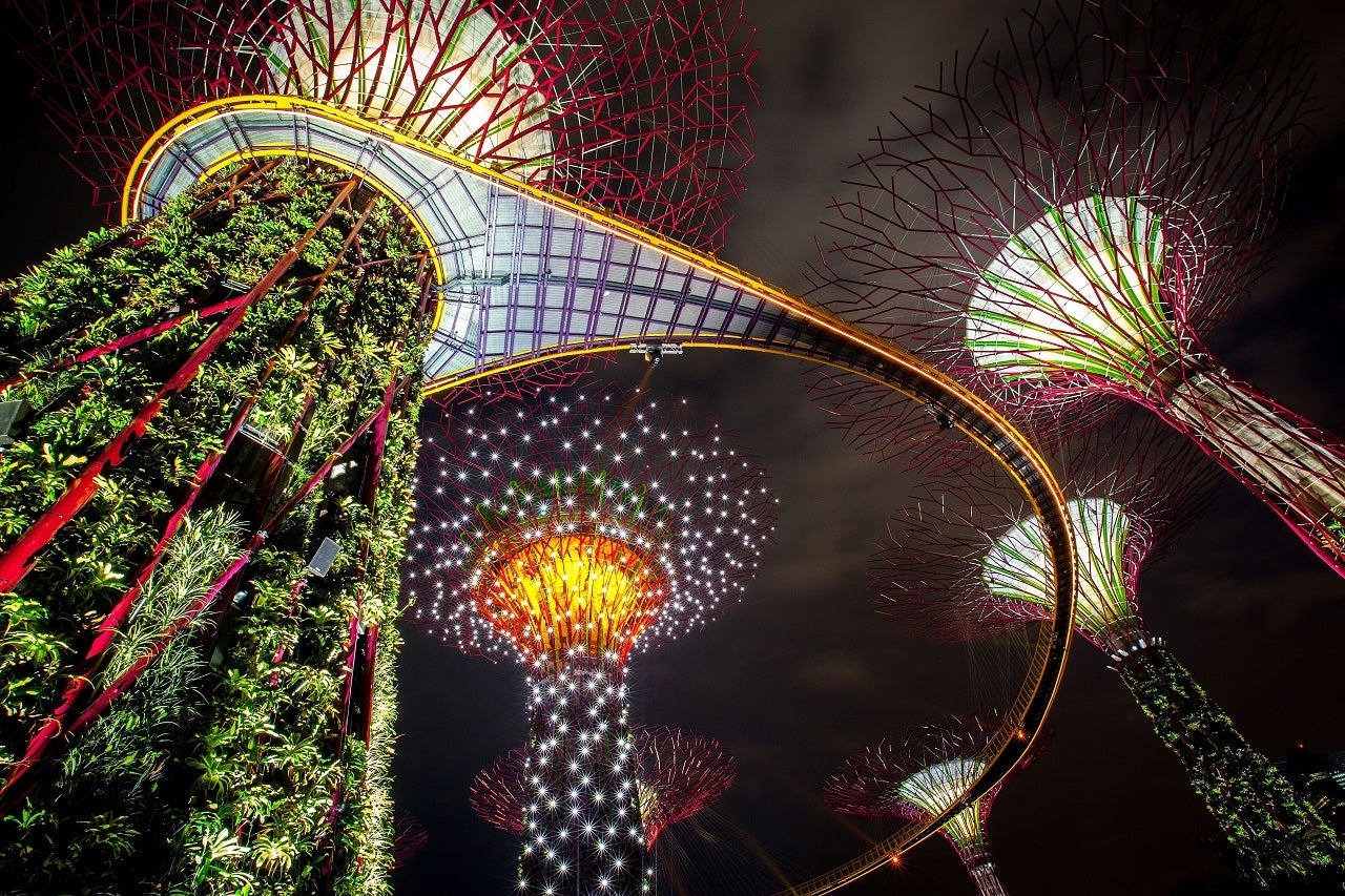 SINGAPORE - JULY 02: The Supertree Grove is illuminated during the Gardens by the Bay, Light and Sound show on July 2, 2012 in Singapore. The free nightly light and sound display which sees the massive man made Supertrees lit up with spotlights and neon lights officially opened tonight in the 54 hectare south section of the Gardens by the Bay. The Gardens by the Bay was opened on June 29 and features over 220,000 plants, the vertical gradens of the Supertrees, the Flower Dome, Cloud Forest and a Skywalk. (Photo by Chris McGrath/Getty Images)