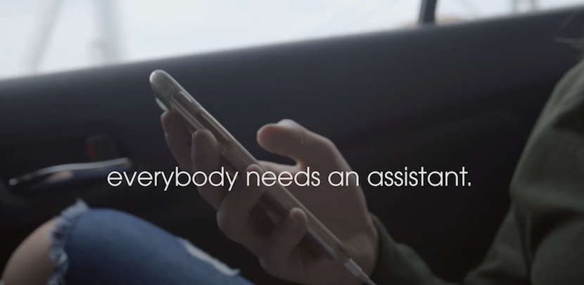 Photo courtesy of Fin