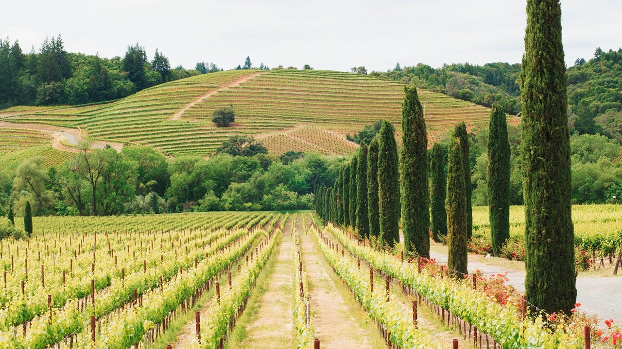 napa valley reader mistake story