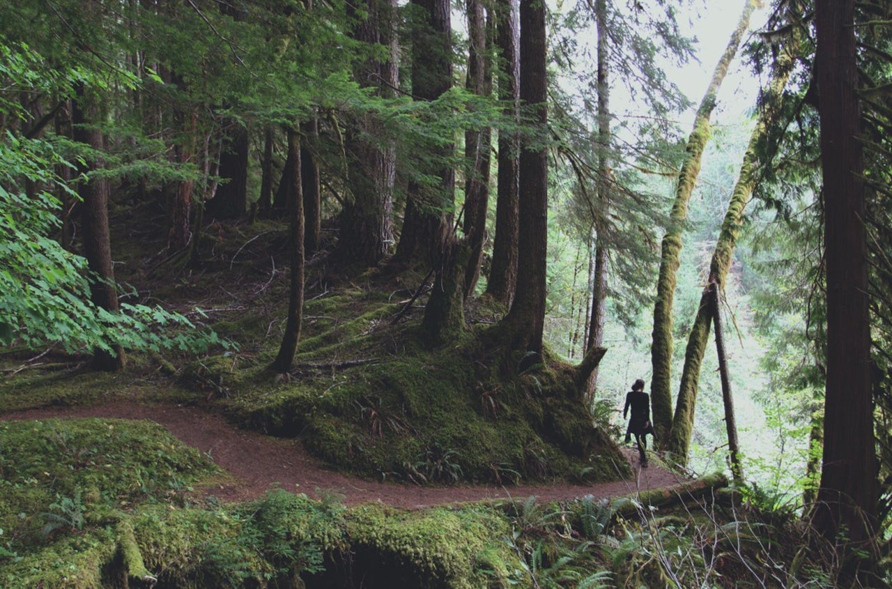 (Photo by @ChreesyBear via Twenty20)