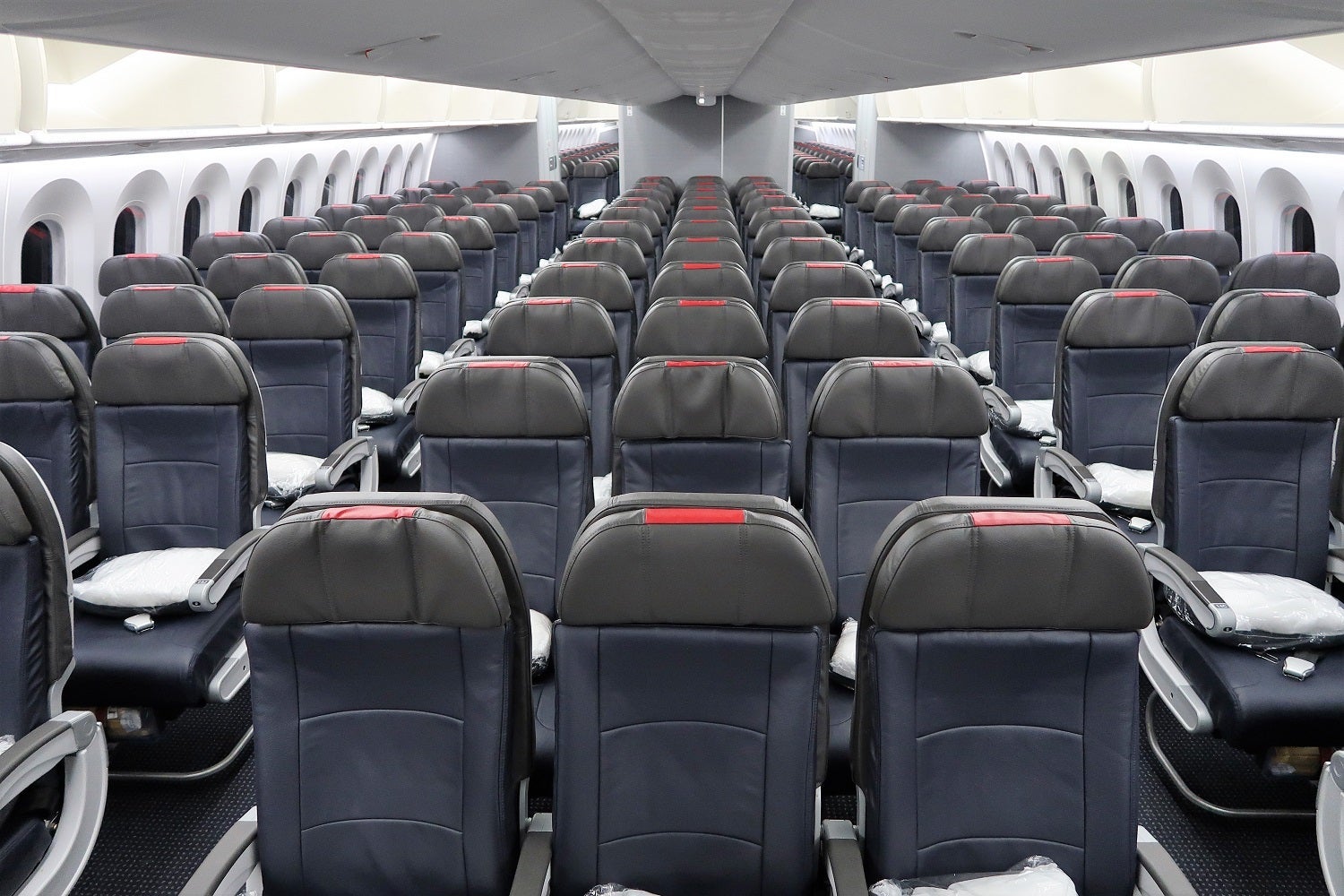 Economy on American Airlines 787-9. Photo by JT Genter / TPG.