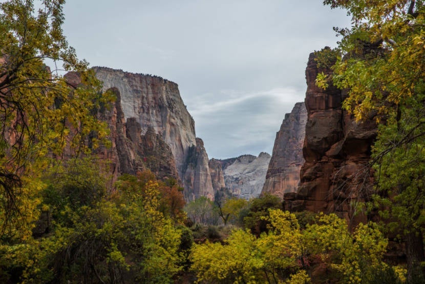SPRINGDALE, UT - OCTOBER 18: Autumn colors can be seen at Zion National Park on October 18, 2017 in Springdale, Utah.PHOTOGRAPH BY Adam Gray / Barcroft Images (Photo credit should read Adam Gray / Barcroft Images / Barcroft Media via Getty Images)