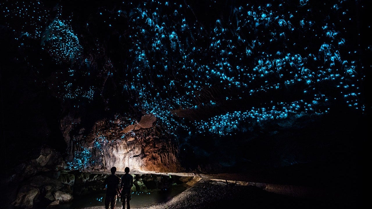 Couple standing underneath Glow Worm Sky in Waipu Cave, new Zealand