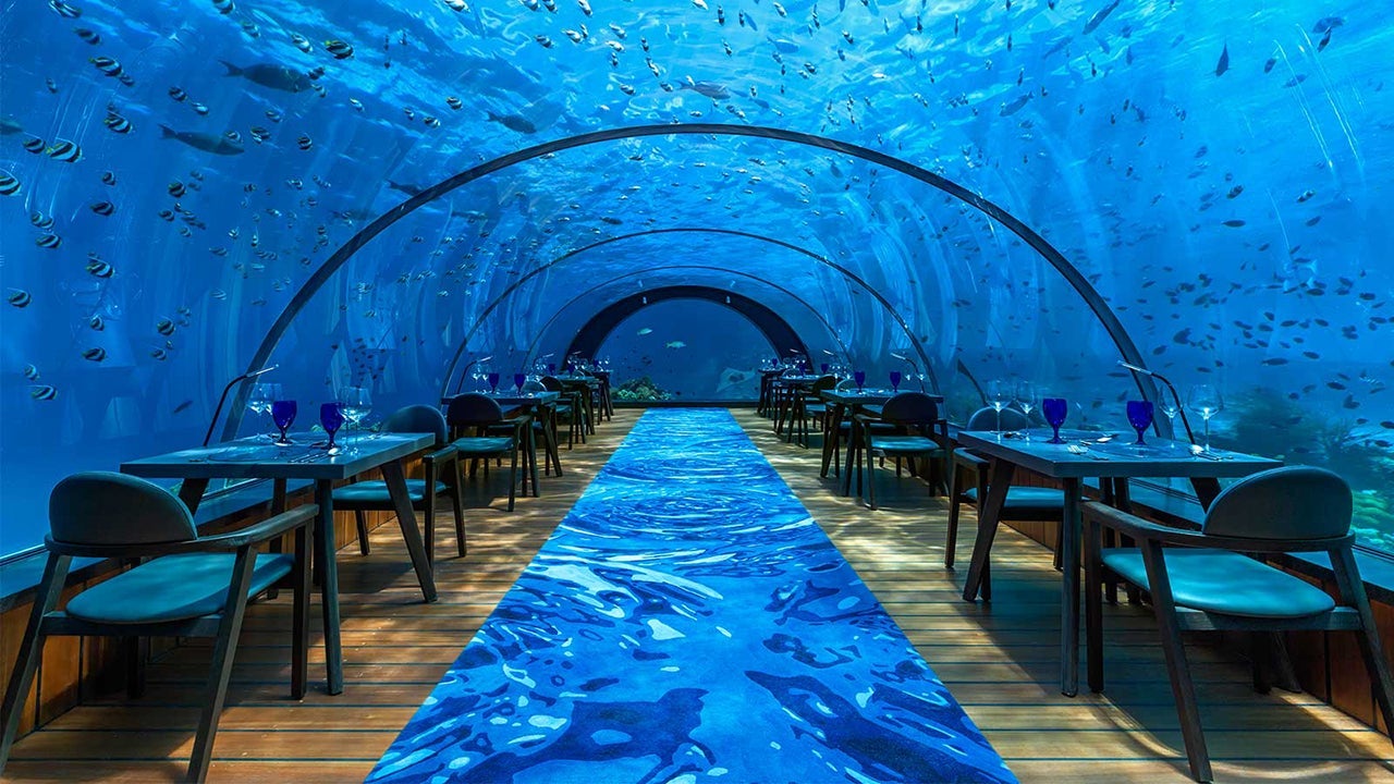 (Photo courtesy Hurawalhi Maldives)