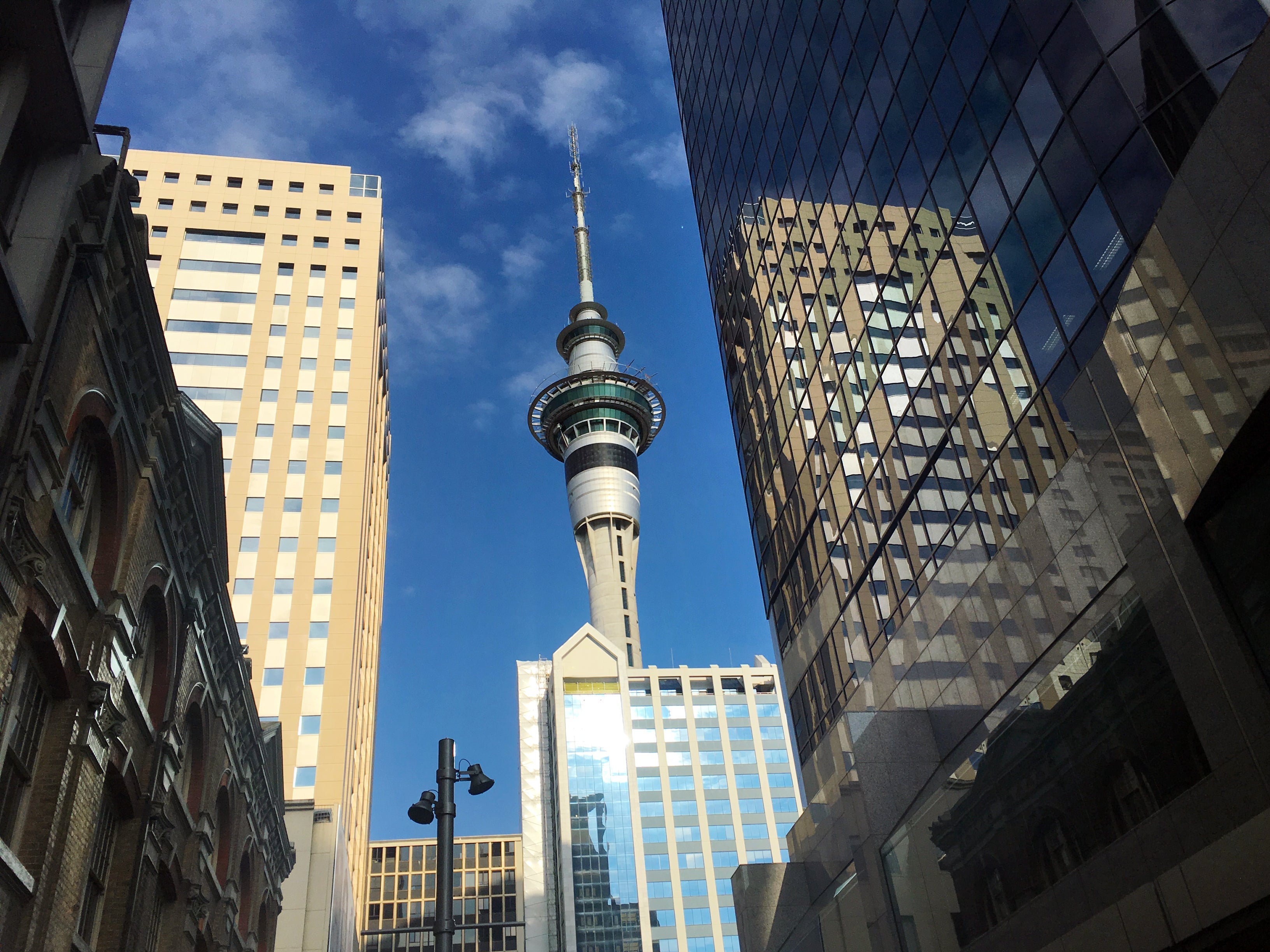 A view of the Auckland Sky Tower. Photo by chameleonseye / Getty Images.