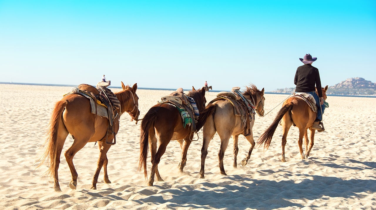 Horses on the beach in San Jose del Cabo. (Photo by wwing/Getty Images)
