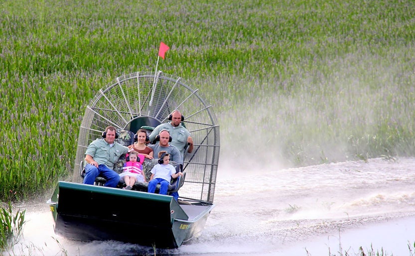 (Photo courtesy Wild Florida)