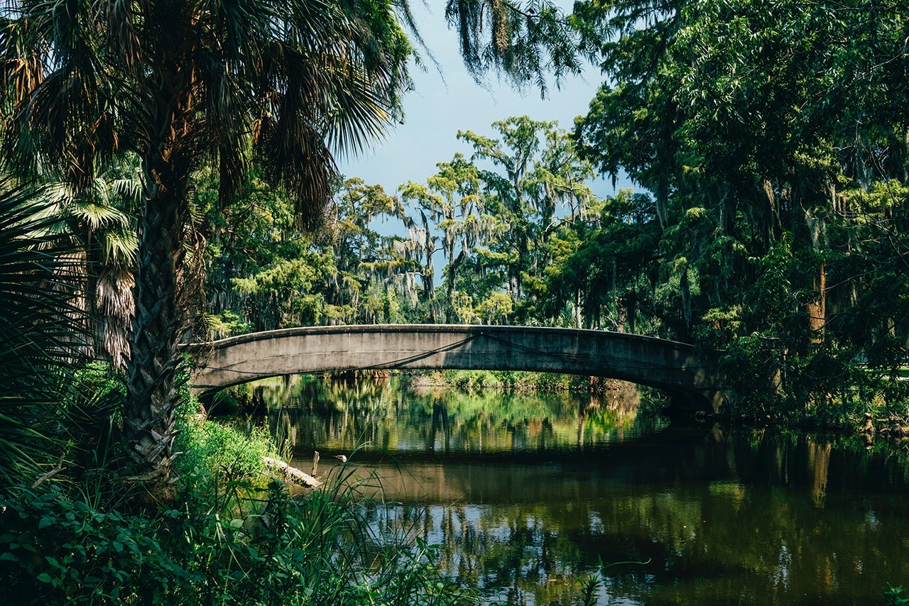 City Park. (Photo by Susan Yin via Unsplash)