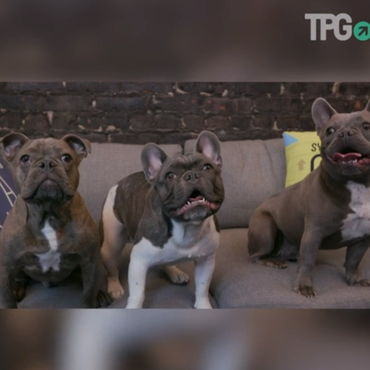 Screen Shot 2018-04-18 at 2.58.36 PM (1)