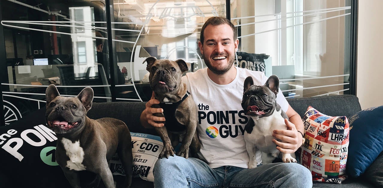 The points pups require lots of food and toys.