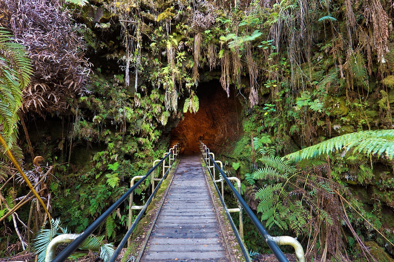Entrance to the Thurston Lava Tube at the Hawaii Volcanoes National Park. Mount Kilauea [Photo by Yin Yang via Getty Images]