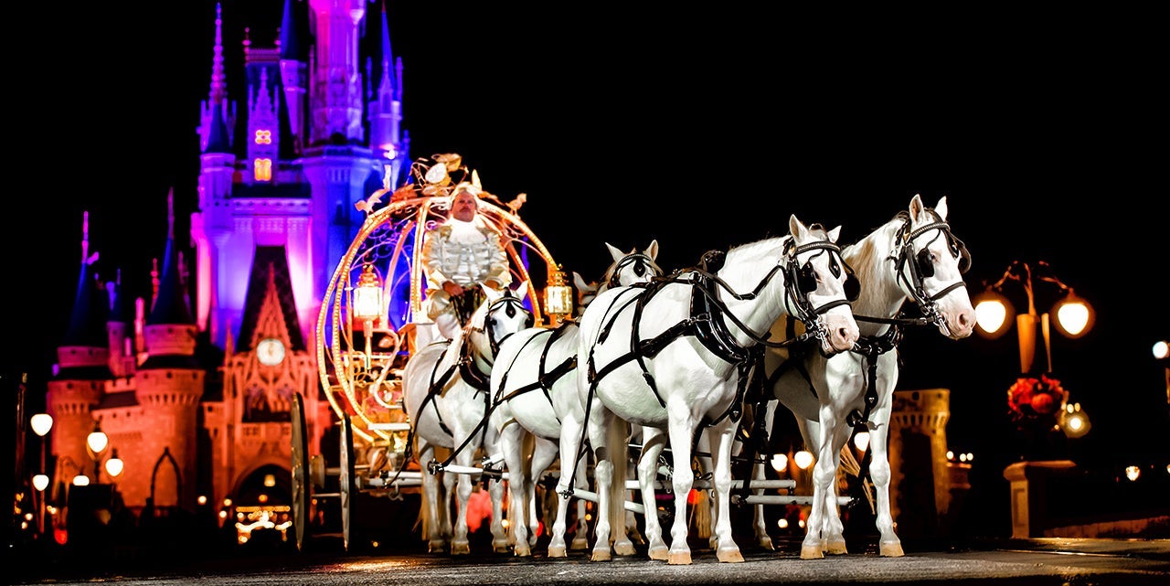 (Photo courtesy Disney)